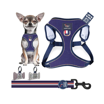 Harness Set 78