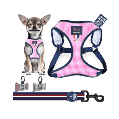 Harness Set 79