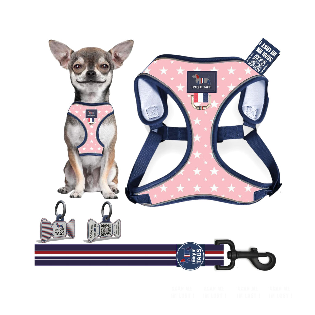 Harness Set 7