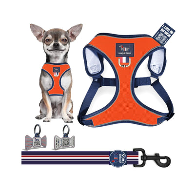 Harness Set 80