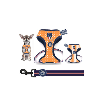 Reversible Harness Set 8