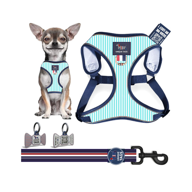 Harness Set 9