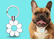 Aqua Daisy Shaped Engravable Tag