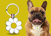 Yellow Daisy Shaped Engravable Tag