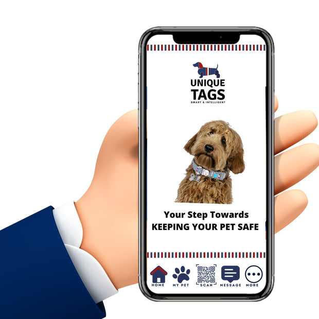 Premium Bone Shaped Blue Striped Paw QR Tag