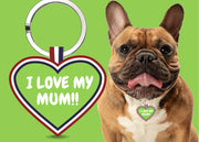 Premium Heart Shaped Green I Love My Mom QR Tag