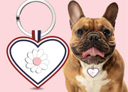 Premium Heart Shaped Light Pink Daisy QR Tag