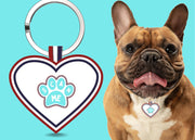 Premium Heart Shaped Aqua Paw QR Tag