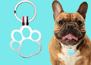 Aqua Paw Shaped Engravable Tag