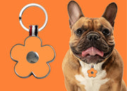 Lucky Clover Orange Engravable Tag