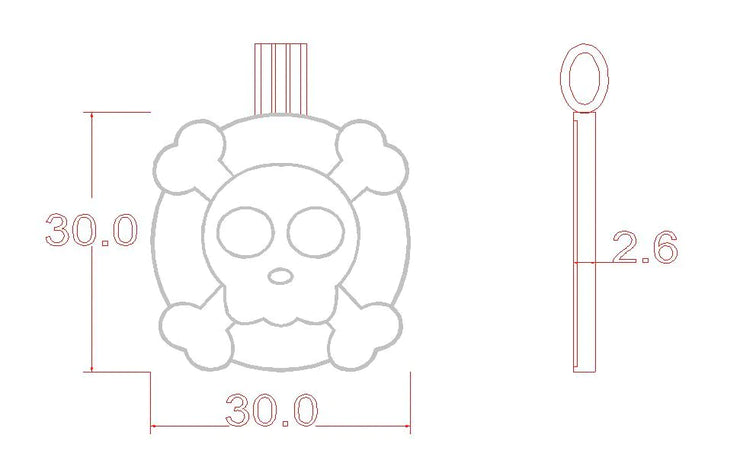 Skull and Bone Shaped Aqua Epoxy QR Tag